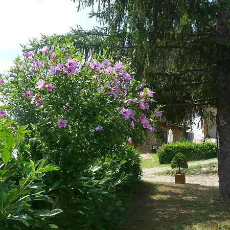 Rustikales Natursteinhaus In Der Toskana Mit Gemeinschaftlichem Garten Und Pool Holiday home Pratovecchio